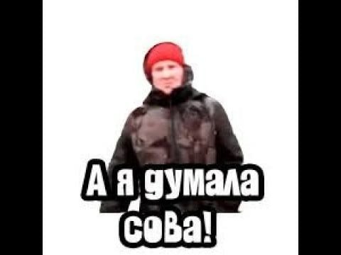 Камера а я думала Сова