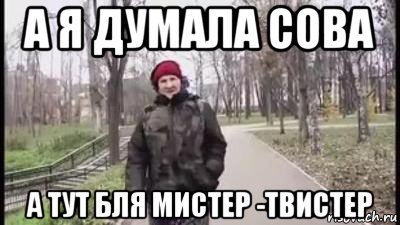 А Я думал Сова прикол