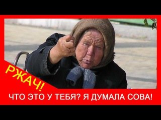 А Я думала Сова