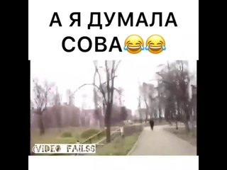 Бабка а я думала Сова