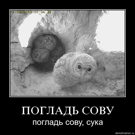 Я так думаю