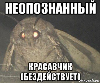 Как то это подозрительно Сова