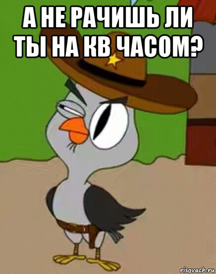 Мем а я думала сова (49 фото)