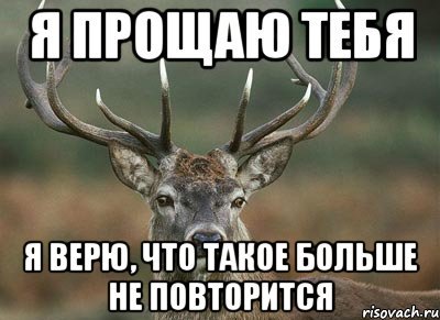Прощаю тебя Мем