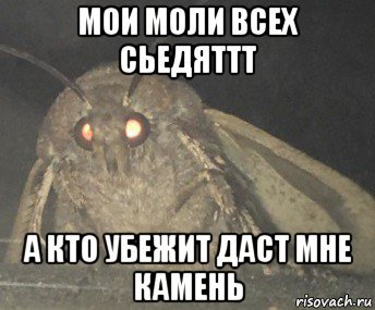 Мемы про камень я не дам
