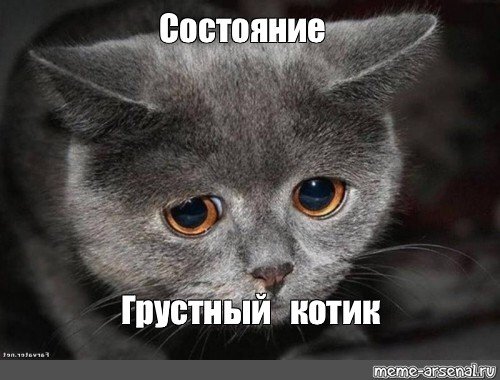 Грустные котики мемы