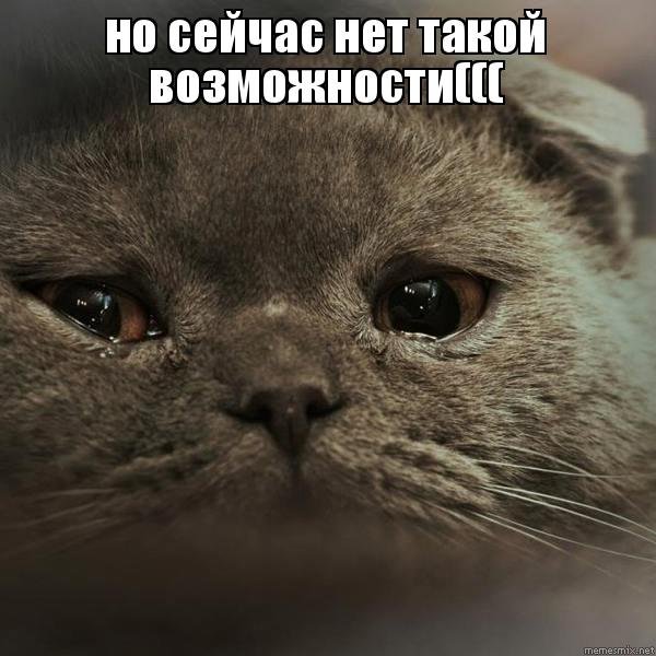 Грустные котики мемы