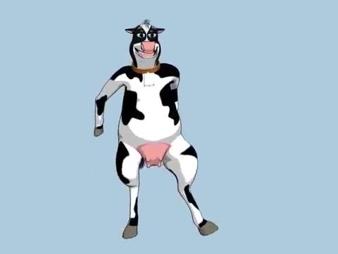 Польская корова танцует