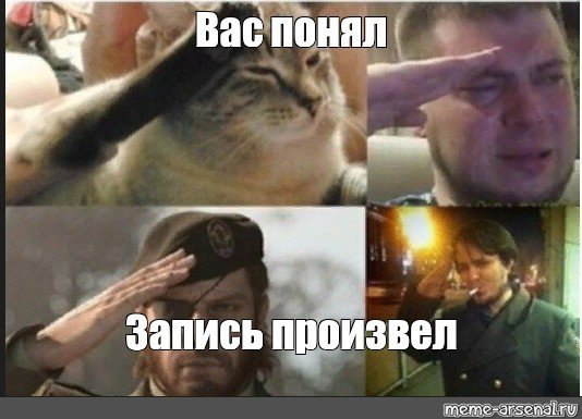 Отдать честь Мем