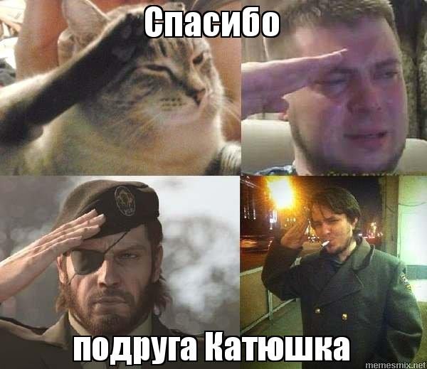 Отдают честь Мем много