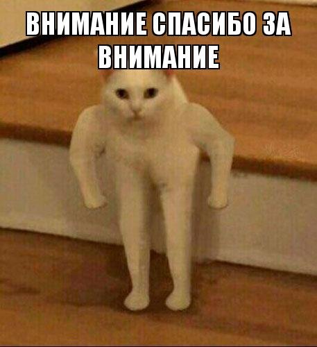Внимание спасибо за внимание