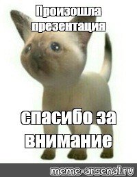 Произошла презентация спасибо за внимание