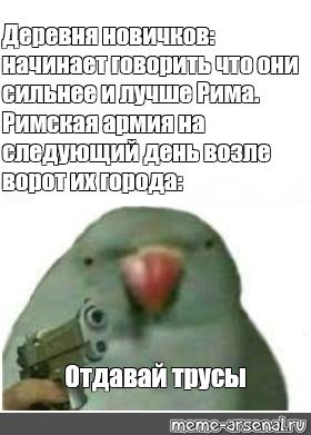 Отдай трусы Мем попугай с пистолетом