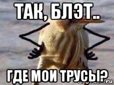 Где Мои трусы Мем