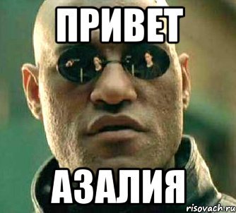 Мемы про азалию