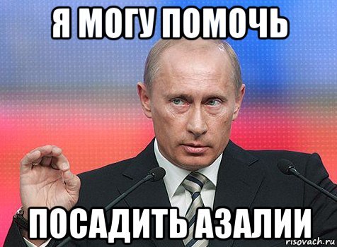 Азалия мемы