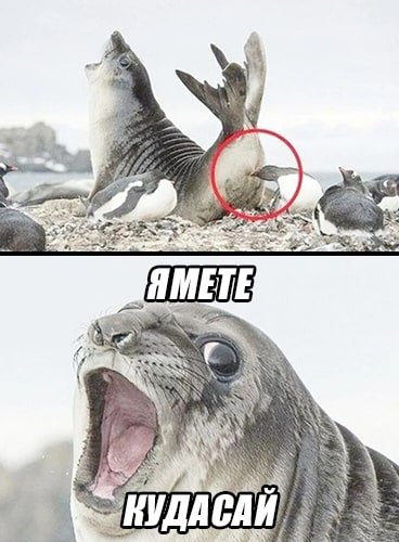 Яме де Кудасай