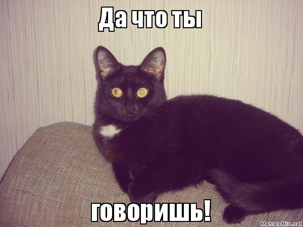 Да ты что картинки