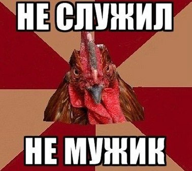 Кто не служил не мужик Мем