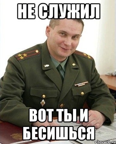 Не служил не мужик в меме (47 фото)