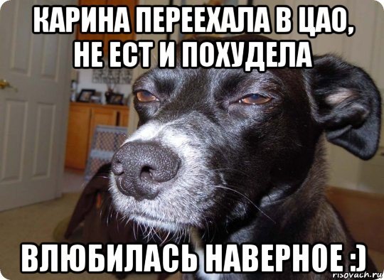 Подозревака Мем