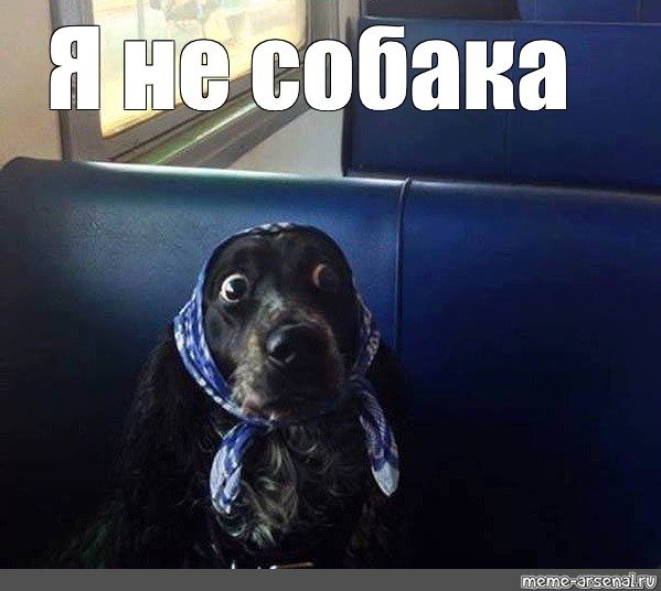 Плачущий пес Мем