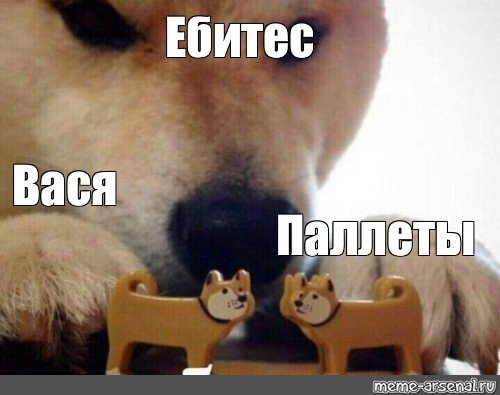 Мемас ебитес