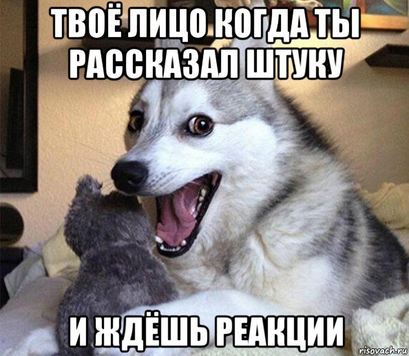 Собака пошутила Мем