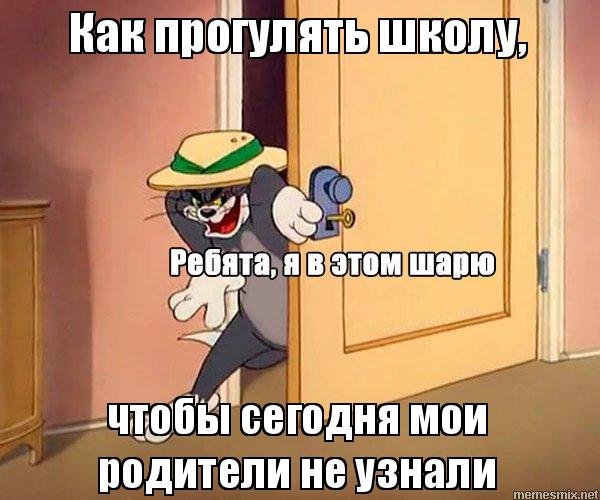 Том Мем я в этом шарю
