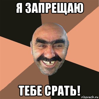 Я запрещаю вам запрещать срать