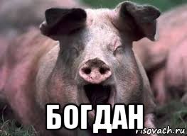 Богдан приколы