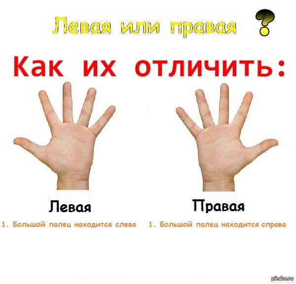 Левая и правая рука для детей