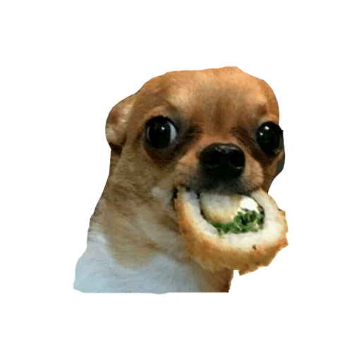 Чихуа Сяке маки