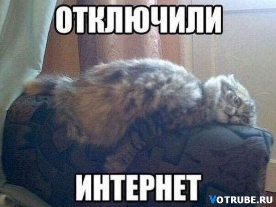 Интернет отключили картинка