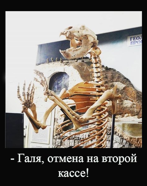 Галя Отмена