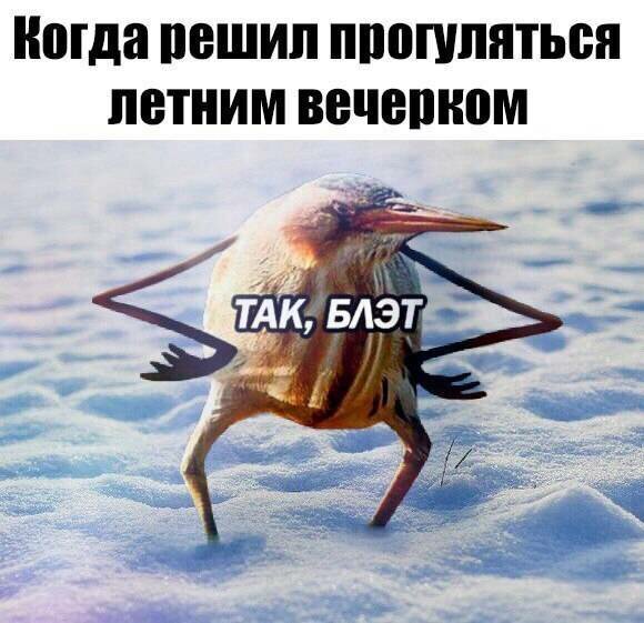 Туда нам надо