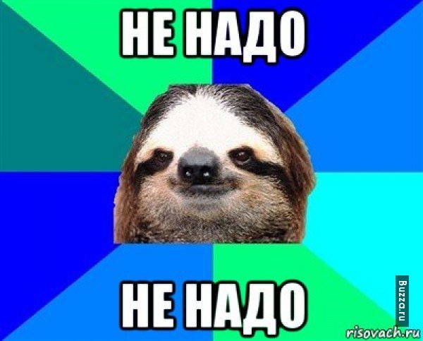 Приколы про Амира