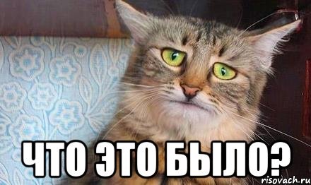 Можно надо Мем кот