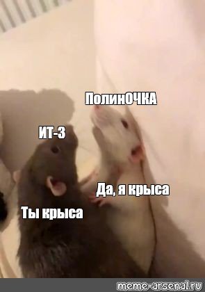 Ты крыса да крыса