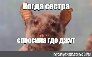 Чучело летучей мыши Мем