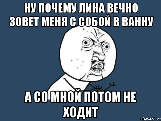 Приколы про Лину