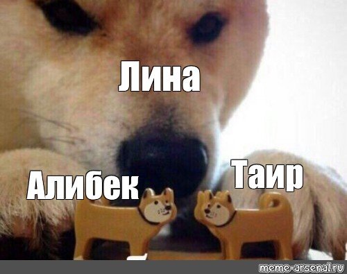 Алибек Мем