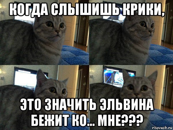 Эльвина мемы