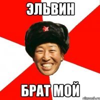 Эльвина лохушка