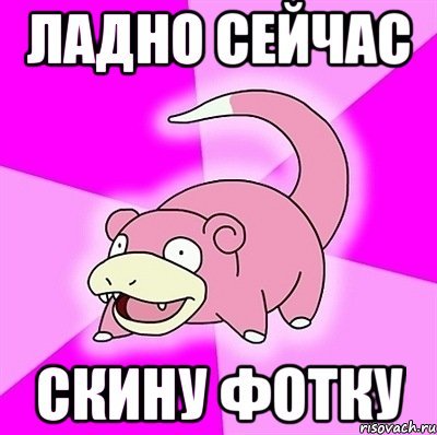 Медведь взорвал танцпол