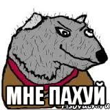 Пахую мемы