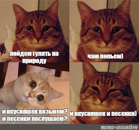 Кошка продавец Мем