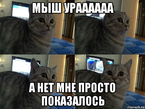 Приемлемо Мем кот