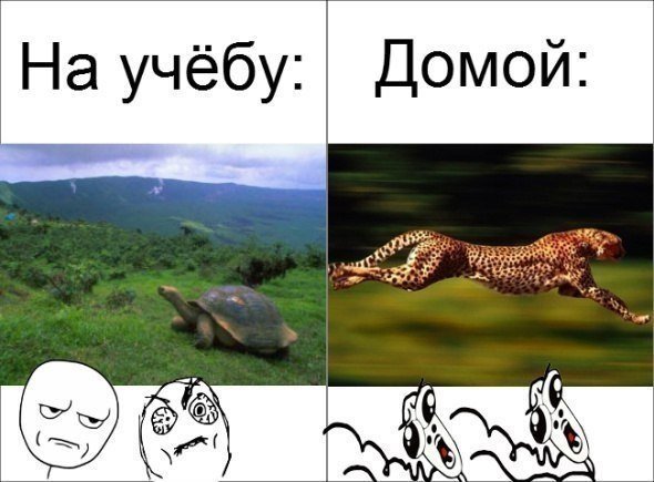 Мемы про учебу в школе