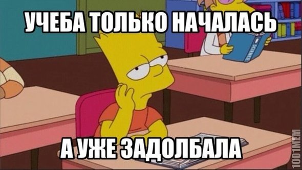 Учеба началась